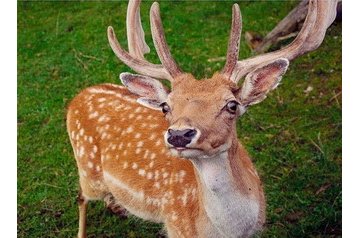 Slovacia Chata Veľké Rovné, Exteriorul